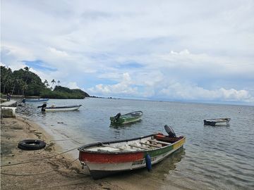 Se Vende Finca de 4 hectáreas en Colon Portobelo
