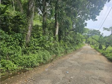 Se Vende Finca de 4 hectáreas en Colon Portobelo