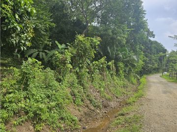 Se Vende Finca de 4 hectáreas en Colon Portobelo