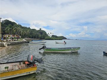 Se Vende Finca de 4 hectáreas en Colon Portobelo