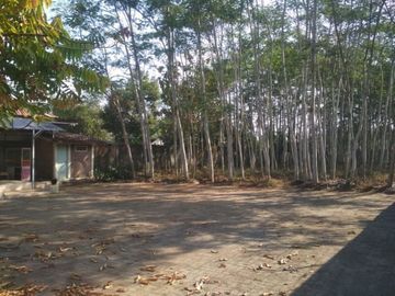 Tanah pekarangan luas dekat kampus PPPPG Kesenian