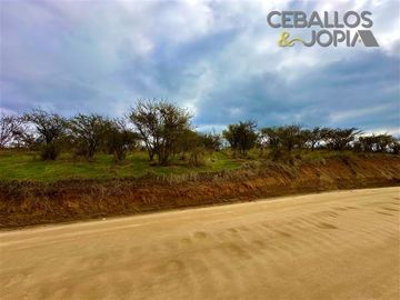 Parcela en venta en Limache