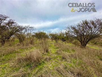 Parcela en venta en Limache