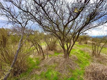 Parcela en venta en Limache