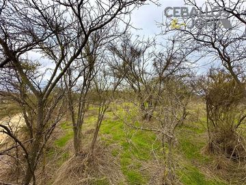 Parcela en venta en Limache