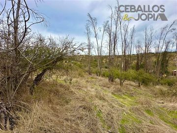 Parcela en venta en Limache