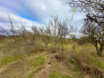 Parcela en venta en Limache