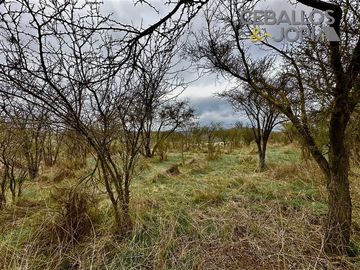 Parcela en venta en Limache