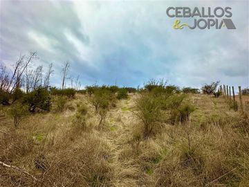 Parcela en venta en Limache