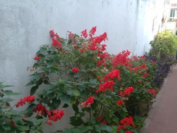 casa tres ambientes amplios