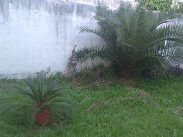 casa tres ambientes amplios