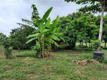 Terreno de 91 HA en Cerro Colorado, Ciudad Isla, VERACRUZ. ZONA DE LOS TUXTLAS