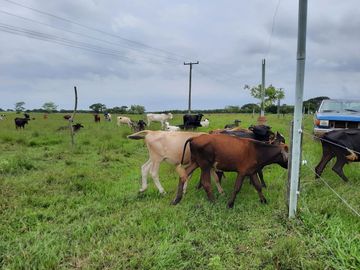 Terreno de 91 HA en Cerro Colorado, Ciudad Isla, VERACRUZ. ZONA DE LOS TUXTLAS