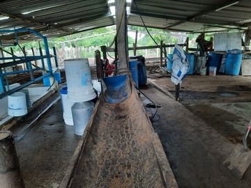 Terreno de 91 HA en Cerro Colorado, Ciudad Isla, VERACRUZ. ZONA DE LOS TUXTLAS
