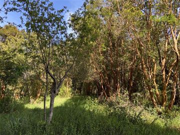 Parcela en Venta en Parcela de 1 Há y con 2 casas. Con Orilla de Playa y al costado del camino Caicaén- Calbuco