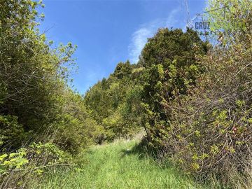 Parcela en Venta en Parcela de 1 Há y con 2 casas. Con Orilla de Playa y al costado del camino Caicaén- Calbuco