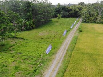 RUMAH KONSEP SKANDINAVIAN DI JOGJA BARAT KAWASAN RAMAI