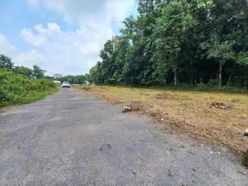 Turun Harga! Tanah Pekarangan Siap Balik Nama
