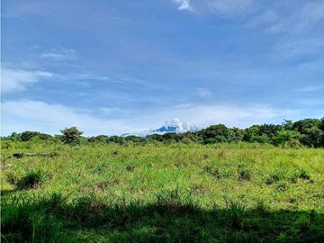 Se vende excelente finca de 10 hectáreas, para cualquier proyecto!