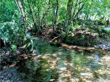 Se vende excelente finca de 10 hectáreas, para cualquier proyecto!