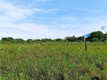 Se vende excelente finca de 10 hectáreas, para cualquier proyecto!