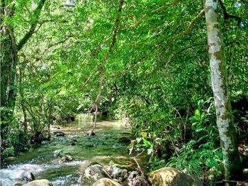 Se vende excelente finca de 10 hectáreas, para cualquier proyecto!