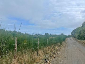 Sin comisión. Parcelas de 5.000 y 10.000m, vegetación nativa