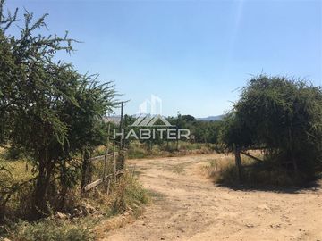 Agrícola en Venta en Tapihue