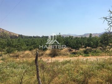 Agrícola en Venta en Tapihue