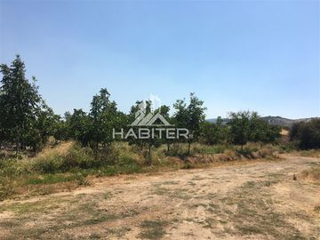 Agrícola en Venta en Tapihue