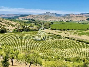 Agrícola en Venta en Tapihue