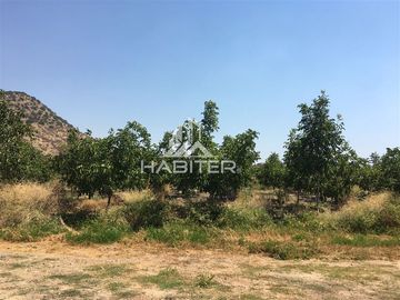 Agrícola en Venta en Tapihue