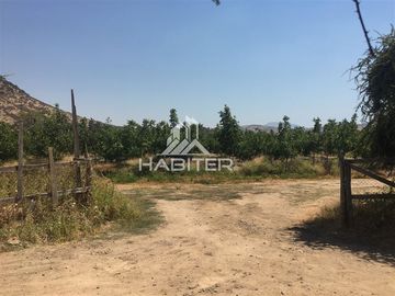 Agrícola en Venta en Tapihue
