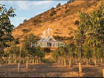 Agrícola en Venta en Tapihue
