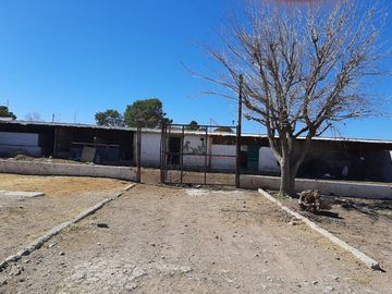 Granja Venta  Las Animas 2,100,000 Blamez RAO