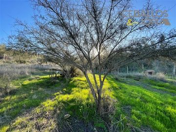 Parcela en venta en Limache
