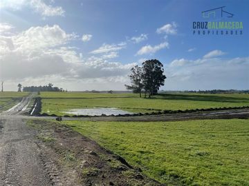 Parcela en Venta en Nueva Braunau