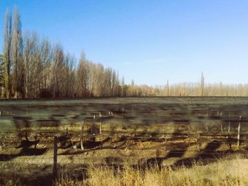 Finca de 60 hectareas con ViÃ±a en Tres Esquinas, Valle de Uco, Mendoza.
