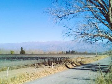 Finca de 60 hectareas con ViÃ±a en Tres Esquinas, Valle de Uco, Mendoza.