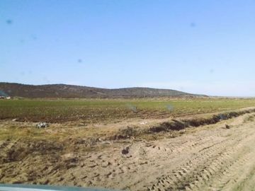 Finca de 60 hectareas con ViÃ±a en Tres Esquinas, Valle de Uco, Mendoza.