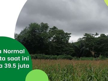 Jual Tanah Kavling Strategis Di Maros PERTAMA Bonus Tanaman Herbal