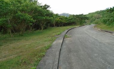 Affordable GREENWOODS SUBDIVISION 168 SQM Lot for Sale near Talamban Cebu City