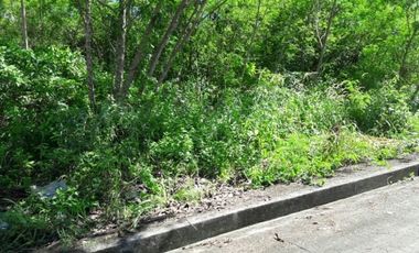 Affordable 159 Sqm Corner Lot for Sale in Consolacion Cebu
