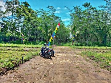 Jual Murah Tanah Surya Regency Palaan - Ngajum