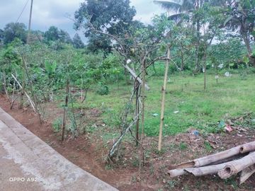 Tanah kemuning 630m 285jt view mempesona