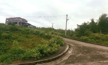 290 Sqm CORNER LOT for Sale in Greenwoods near Talamban Cebu City with Mountain View