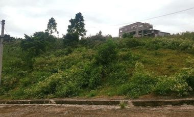 290 Sqm CORNER LOT for Sale in Greenwoods near Talamban Cebu City with Mountain View