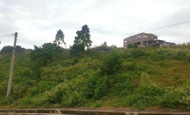 290 Sqm CORNER LOT for Sale in Greenwoods near Talamban Cebu City with Mountain View