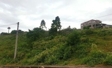 290 Sqm CORNER LOT for Sale in Greenwoods near Talamban Cebu City with Mountain View