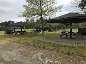 Sitio en Venta en SECTOR DUQUECO